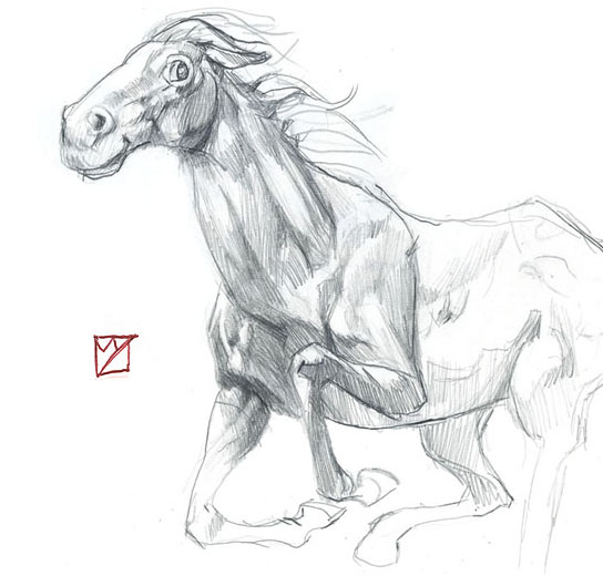 =slideshow quadrat-pinocchio